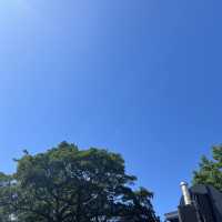 九龍公園 尖沙咀難得綠化空間