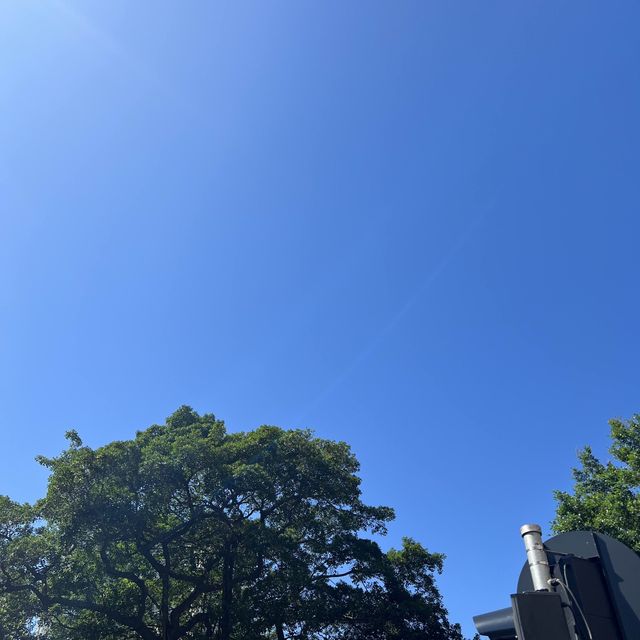 九龍公園 尖沙咀難得綠化空間