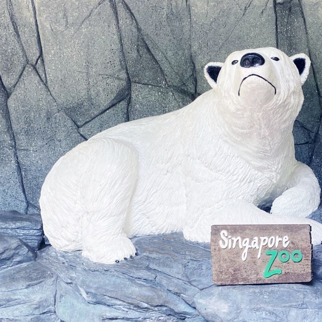 Top 3 Kids’ Activities at the Singapore Zoo