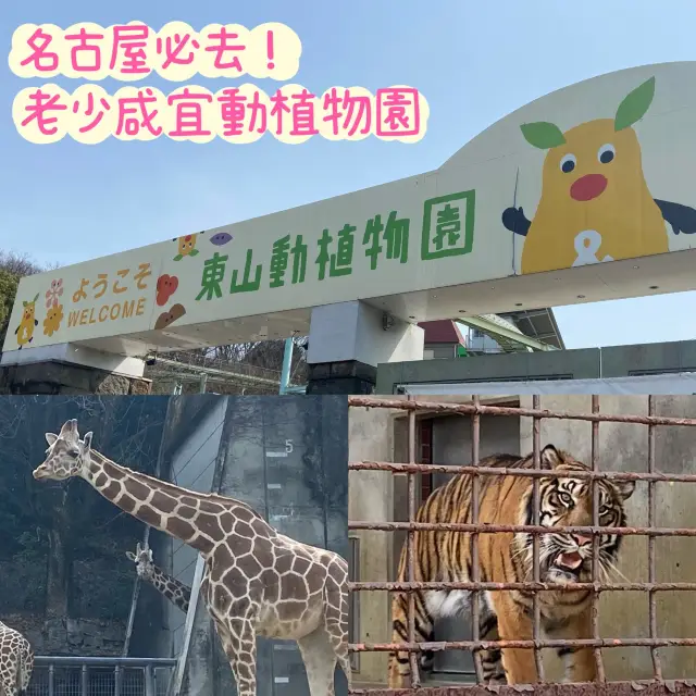 名古屋必去 - 東山動植物園！還有遊樂場！
