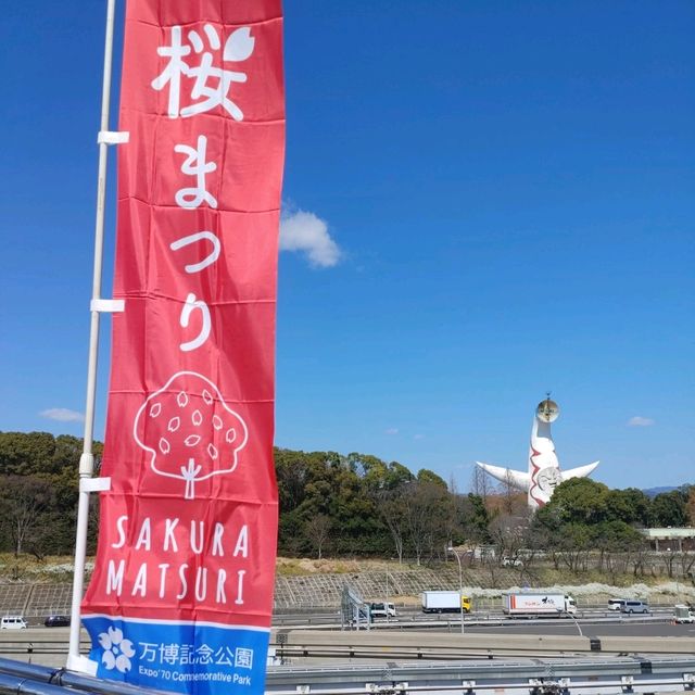 万博記念公園　桜まつり　梅林・桜開花状況