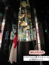 バーチャルとリアルが融合した水族館