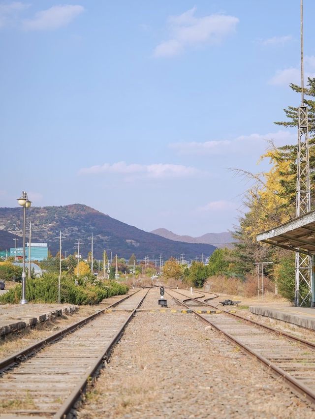 서울 근교 데이트 양주 여행 코스💕