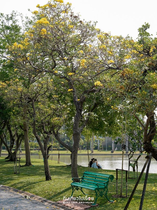 ปิคนิครับลมที่สวนจตุจักร