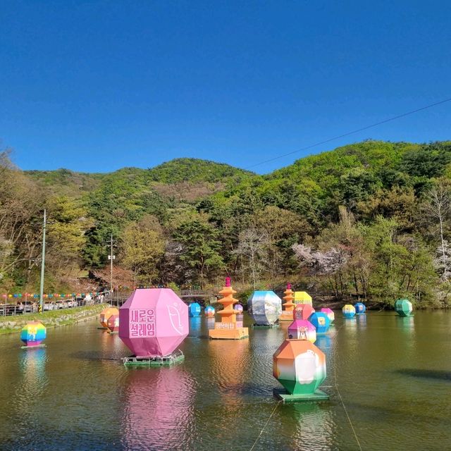 늦었다고 생각 할 때 가야하는 겹벚꽃 성지🌸🌸  [천안 각원사]