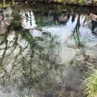 神秘的なパワースポット「忍野八海」