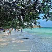 📌หาดเทียน เกาะล้าน บางละมุง ชลบุรี 