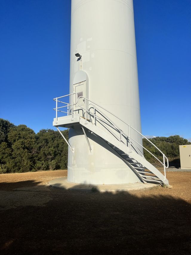 Destiny in Windmill Farm, Albany😅🥰😎