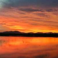 SUNSETS OVERLOOKING THE PADDY FIELD!