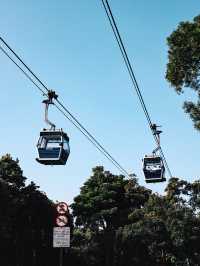 香港昂坪360｜坐上全景透明纜車飛越山海🚡