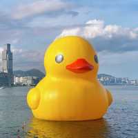 DOUBLE DUCKS橡皮鴨二重奏遊維港藝術展覽打卡