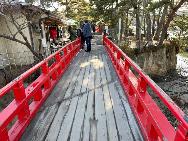 松島必玩的景色 這個五大堂超級酷 一定要來拍拍看 