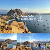 Yellow Season in Pulau Padar