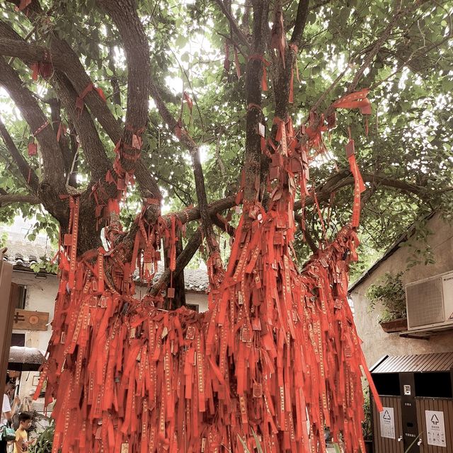 北上好去處｜深圳市龍崗區甘坑客家小鎮｜文化旅遊區｜