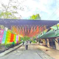 “วิจิตร@เชียงใหม่ สีสันแห่งเส้นแสง📍