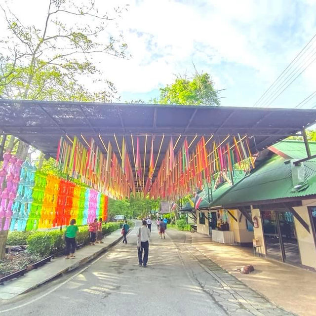 “วิจิตร@เชียงใหม่ สีสันแห่งเส้นแสง📍