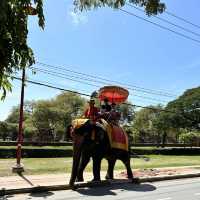 My summer trip to Ayutthaya, Thailand