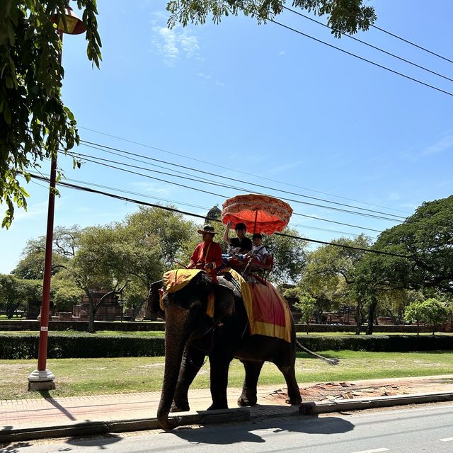 My summer trip to Ayutthaya, Thailand