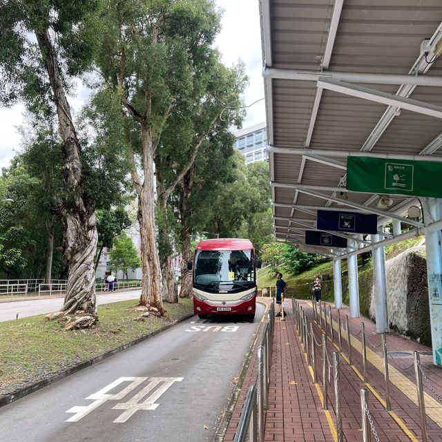 【香港中文大學】暑假尾巴遊，限時優惠！