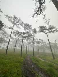 อุทยานแห่งชาติภูสอยดาว | Phu soi dao National Park