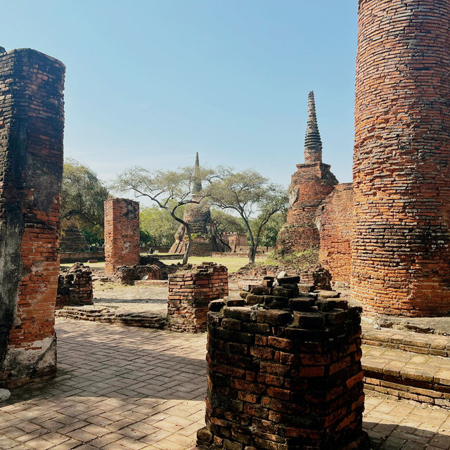 วัดพระศรีสรรเพชญ์