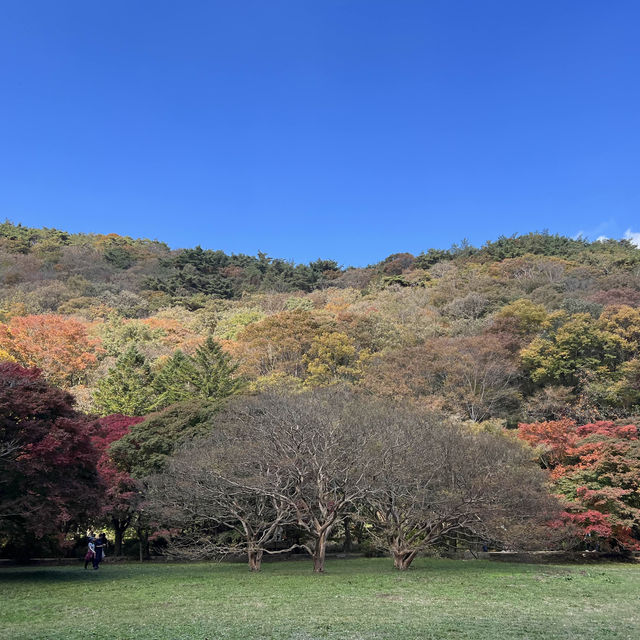 The Place with Eternal Autumn Foilage!