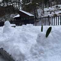 西の河原公園の雪景色〜群馬•草津