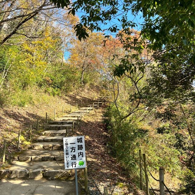 【兵庫】まさに天空の城