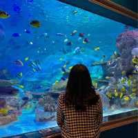 테마가 다양한 코엑스 아쿠아리움🐠🫧