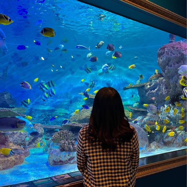 테마가 다양한 코엑스 아쿠아리움🐠🫧
