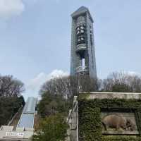 名古屋必去 - 東山動植物園！還有遊樂場！