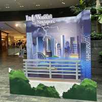 Jewel Changi Airport + Disney 100th