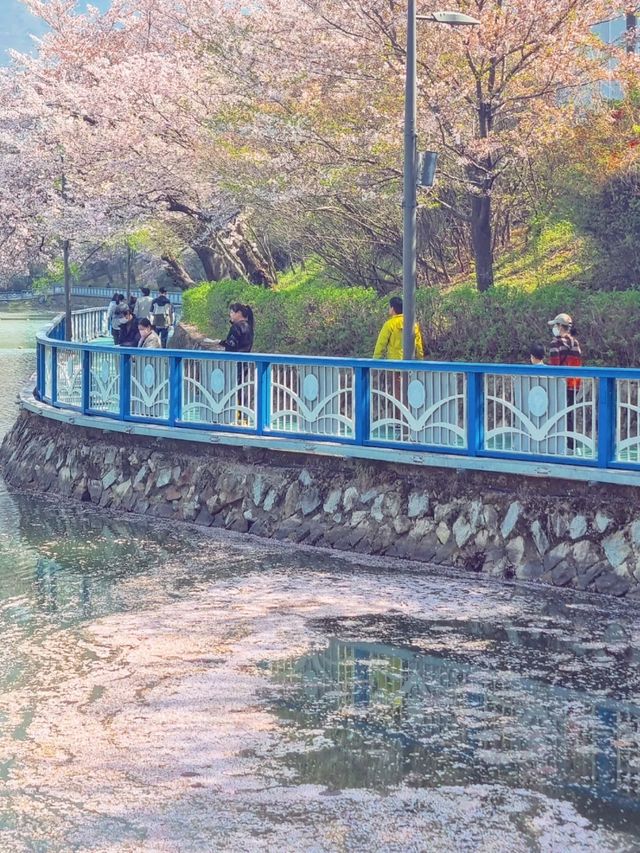 봄꽃향기 가득한 곳😊