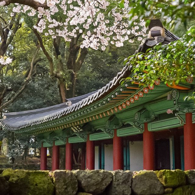 제주공항과 가까운 고즈넉한 삼성혈🌸