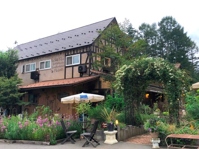 アルパカ牧場@八ヶ岳🦙