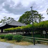 宇治抹茶一條街