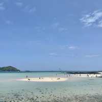 야자수가 드리운 얕은 해변 금능해수욕장🌴🌊
