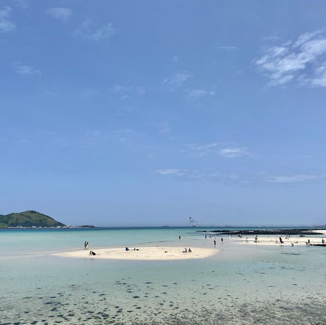 야자수가 드리운 얕은 해변 금능해수욕장🌴🌊