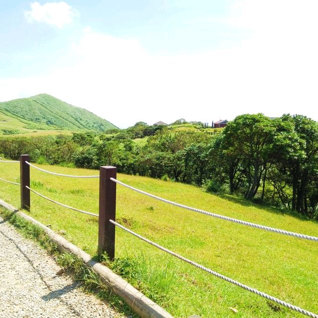 Summer Hike to Yangmingshan