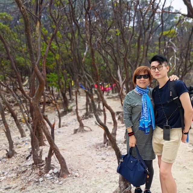 Mesmerizing Beauty at Kawah Putih, Bandung