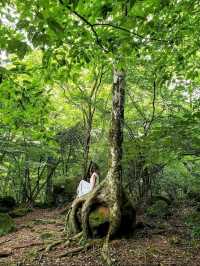 湯布院のおすすめ観光•グルメスポット