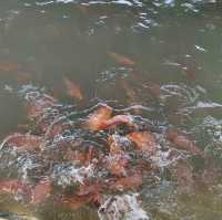 Boat tour in Singapore sea