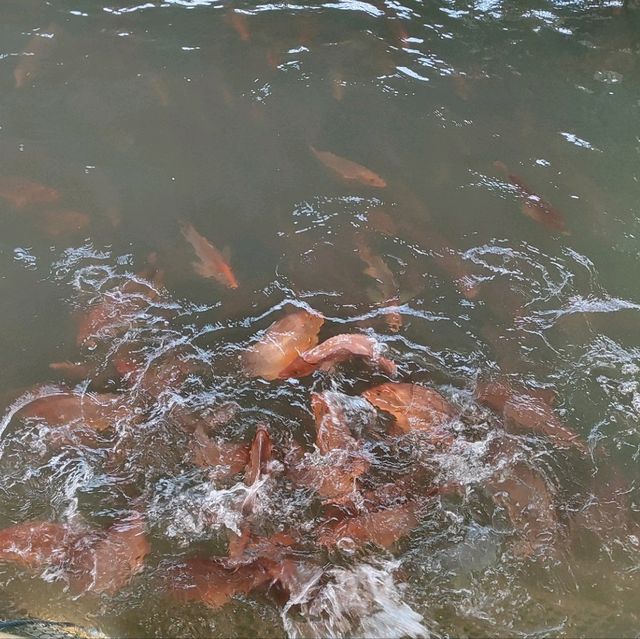 Boat tour in Singapore sea
