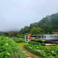 สวนอีเดน ม่อนแจ่ม Eden Gardens Resort