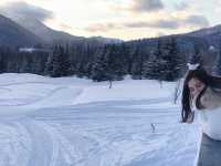🏂 北海道星野TOMAMU度假村