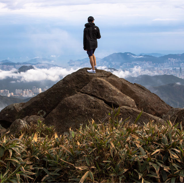 香港🇭🇰 ｜季節限定的山野景色🌟 - 大帽山 ⛰️