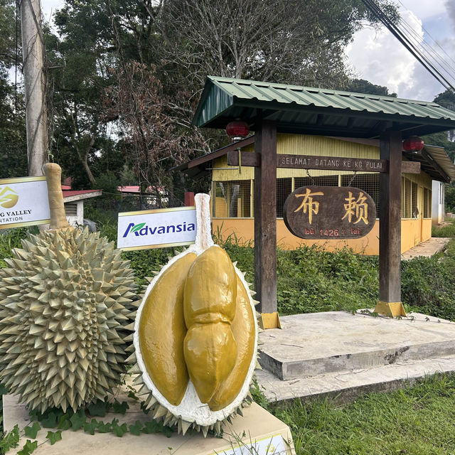 話望生鎮布賴新村 🏠🏘️