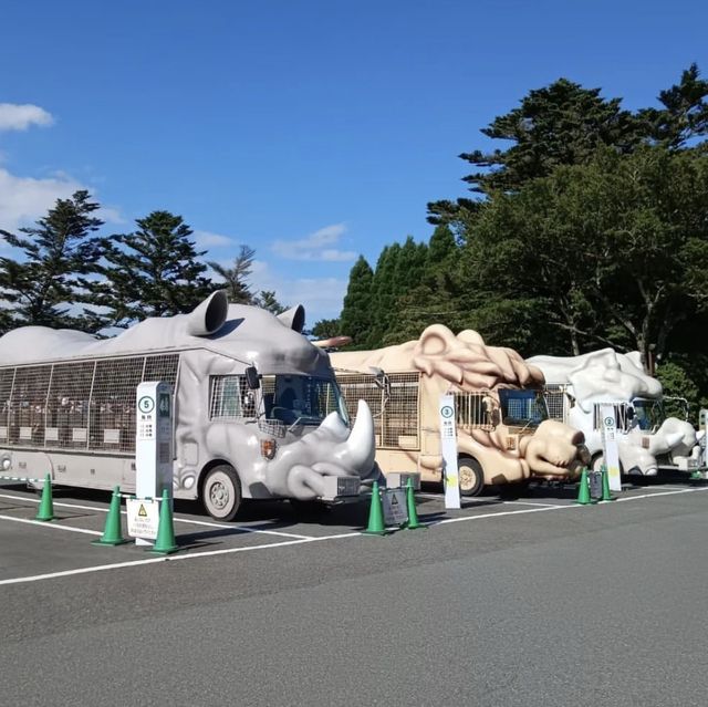 どこを見渡しても動物がいる場所
