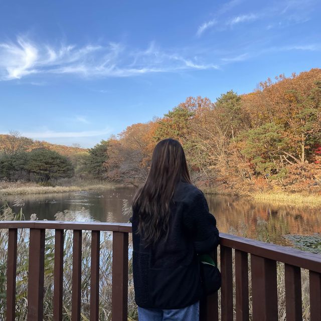 곧 있을 가을 걷기좋은곳