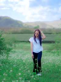 SINGHA PARK สัมผัสธรรมชาติท่ามกลางไร่ชา